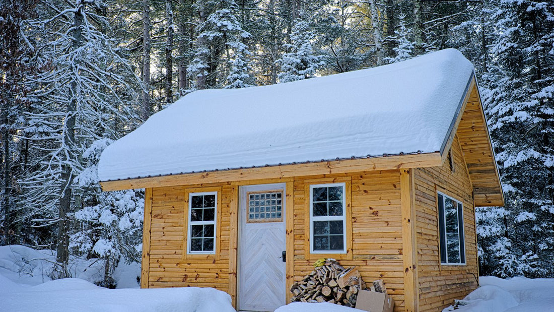 Wooden outdoor sauna cabin surrounded by trees