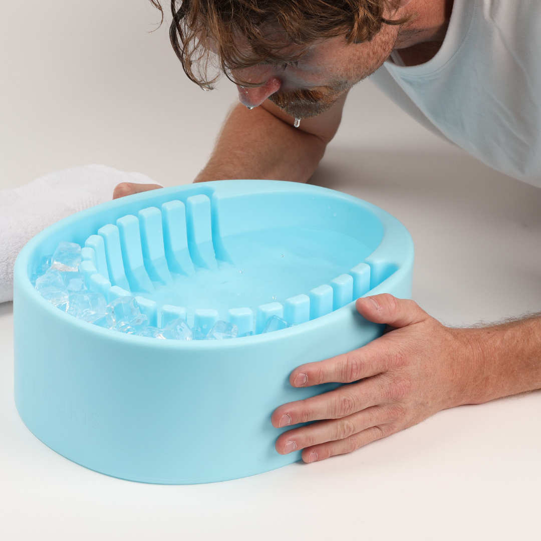 Face Plunge Pure compared with other facial bowls