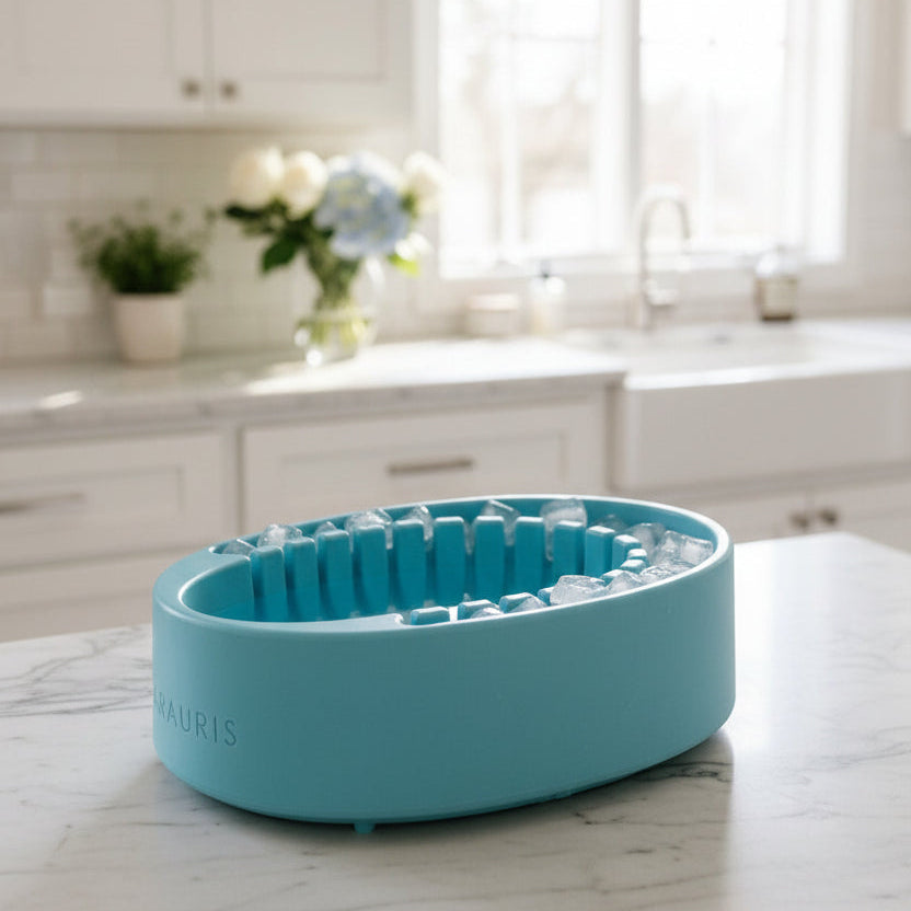 Face Plunge Pure facial cold plunge bowl with separate ice chamber, angled view