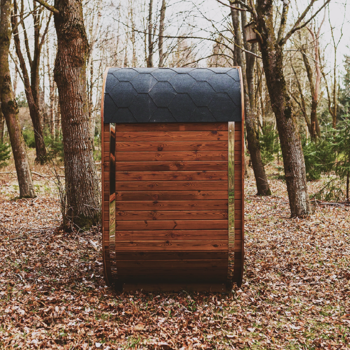 Outdoor ThermoWood sauna, door view